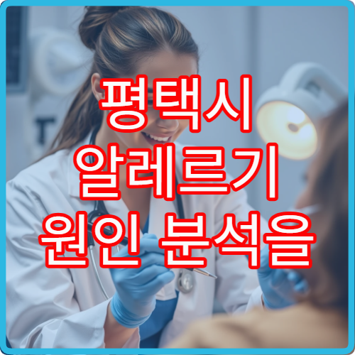 평택시 알레르기 원인 분석을 위한 정밀 검사 가능한 병원 정보