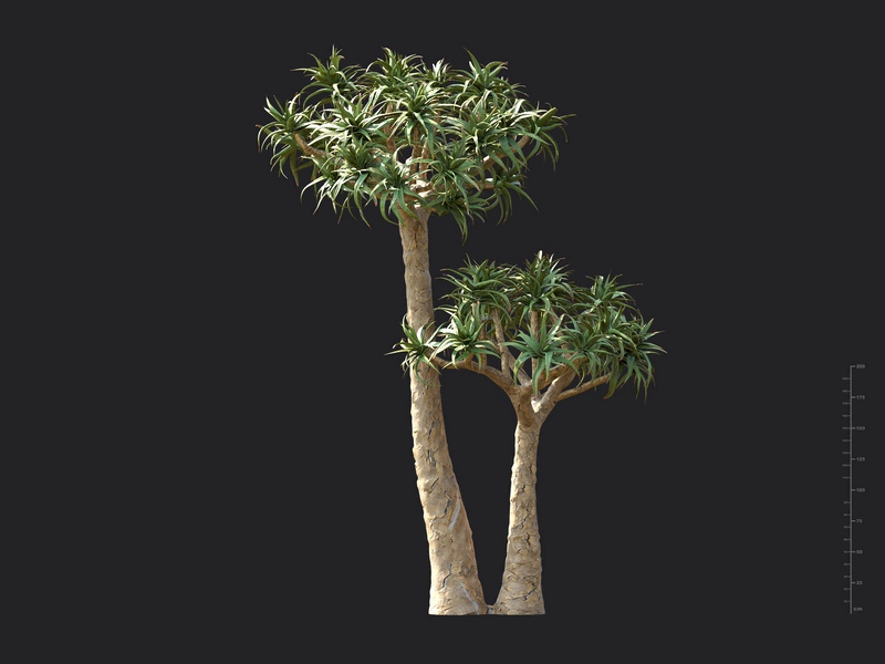 Maxtree - Plant Models Vol.130