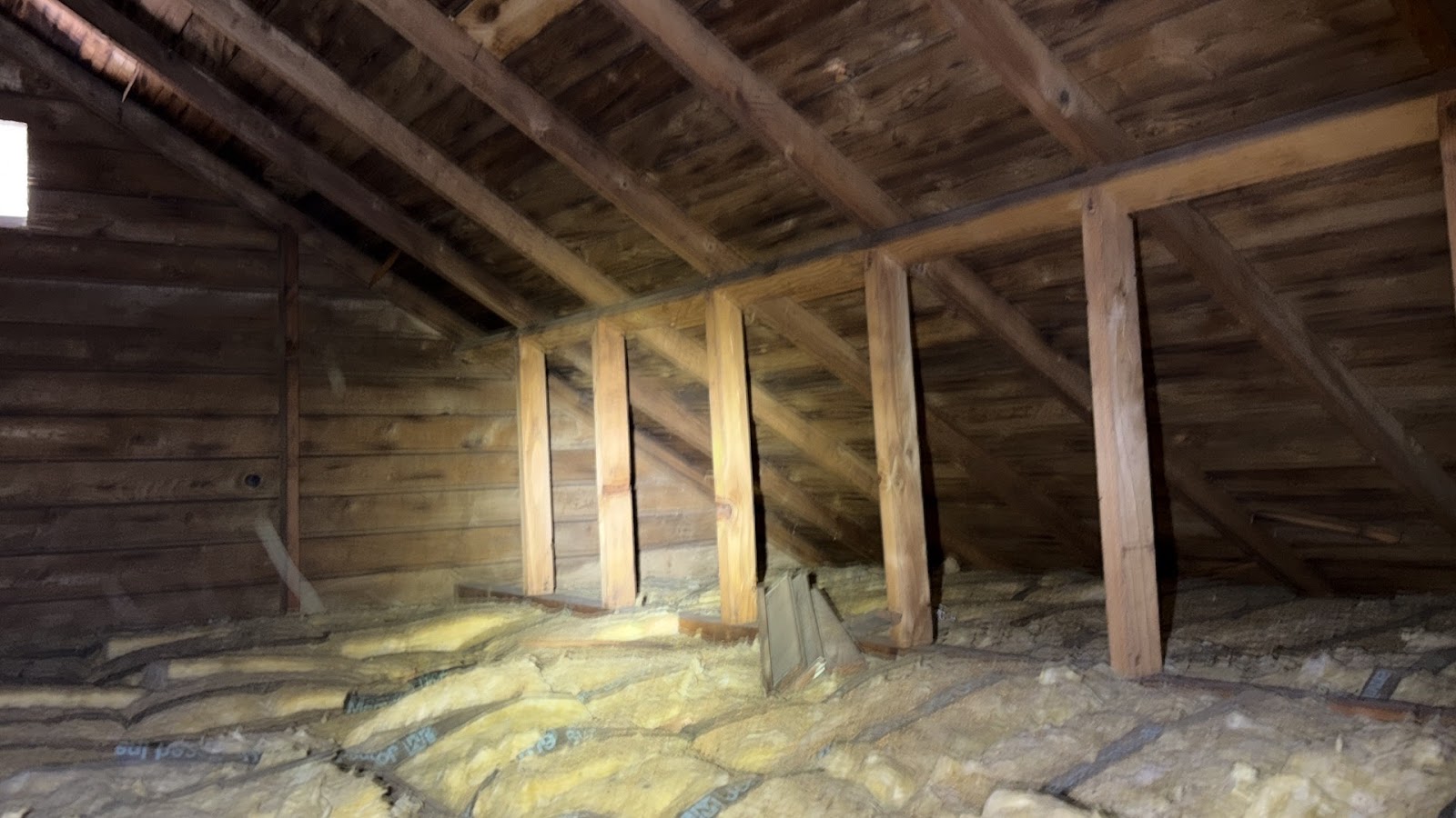 Copy of IMG_2026-03-13_14-12-45_674.jpg