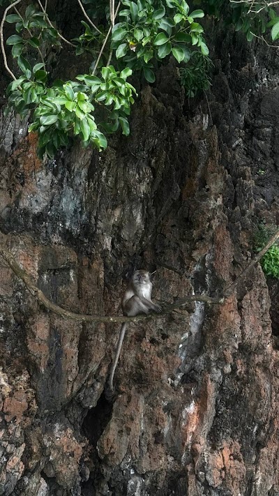 Приватный · Пхи Пхи с ночевкой (2 Дня) photo 4