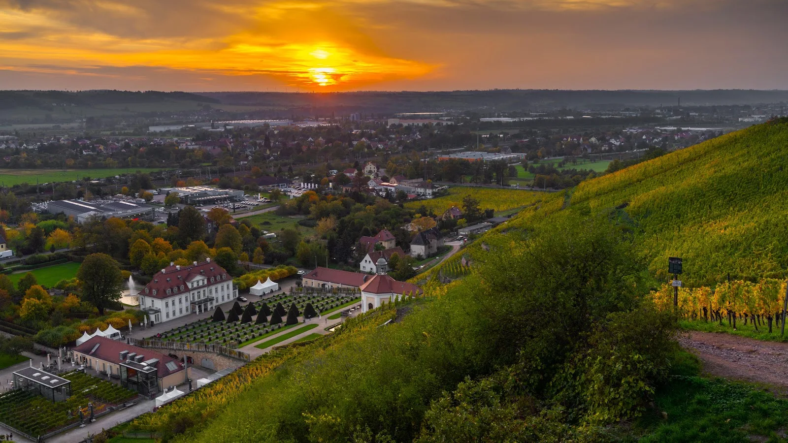 Schloss Wackerbarth Vineyard Sunset - Landscape Photography 5K Wallpaper (6144x3455)
