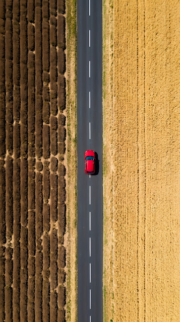 Top-Down Aerial View of a Red Car on a Road Dividing Two Different Crops - Free mobile Wallpaper