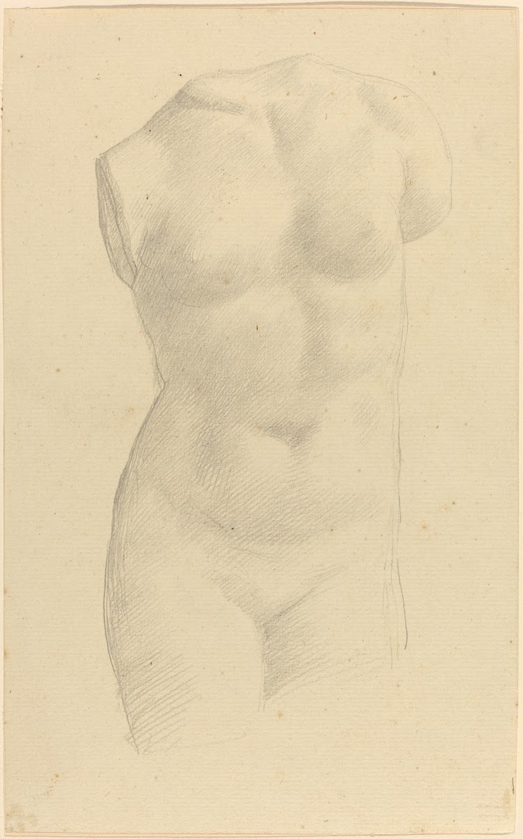 Torso