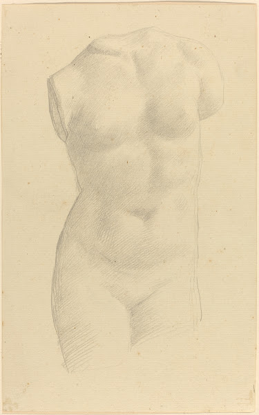 Torso