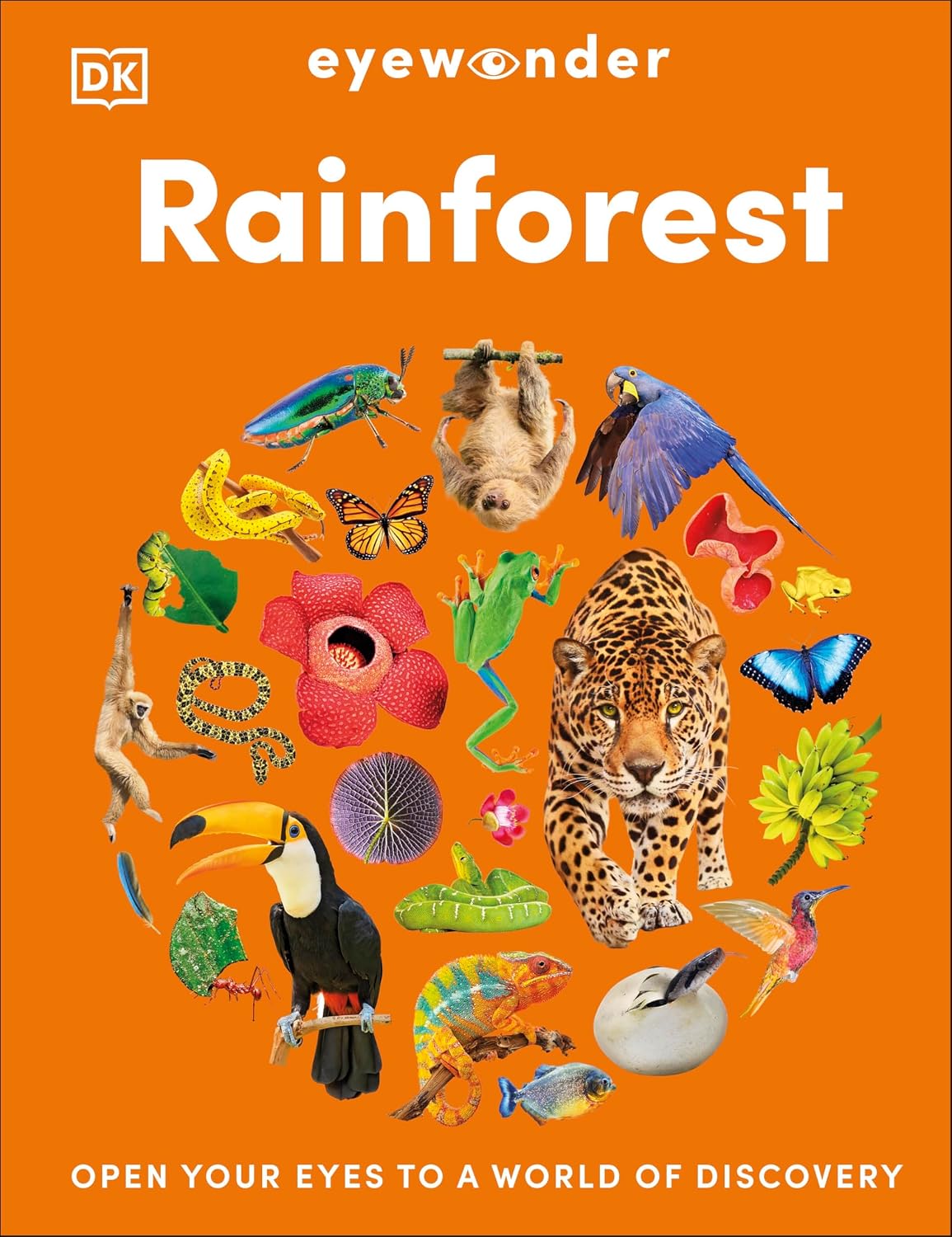 Eyewonder Rainforest book cover