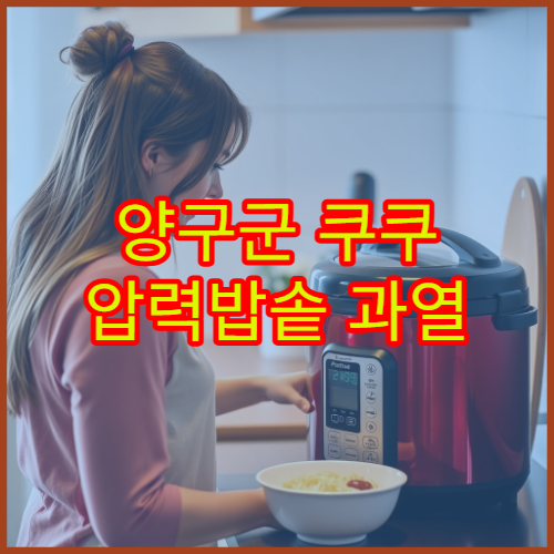 양구군 쿠쿠 압력밥솥 과열 표시 해결 가까운 AS 센터 위치 정보