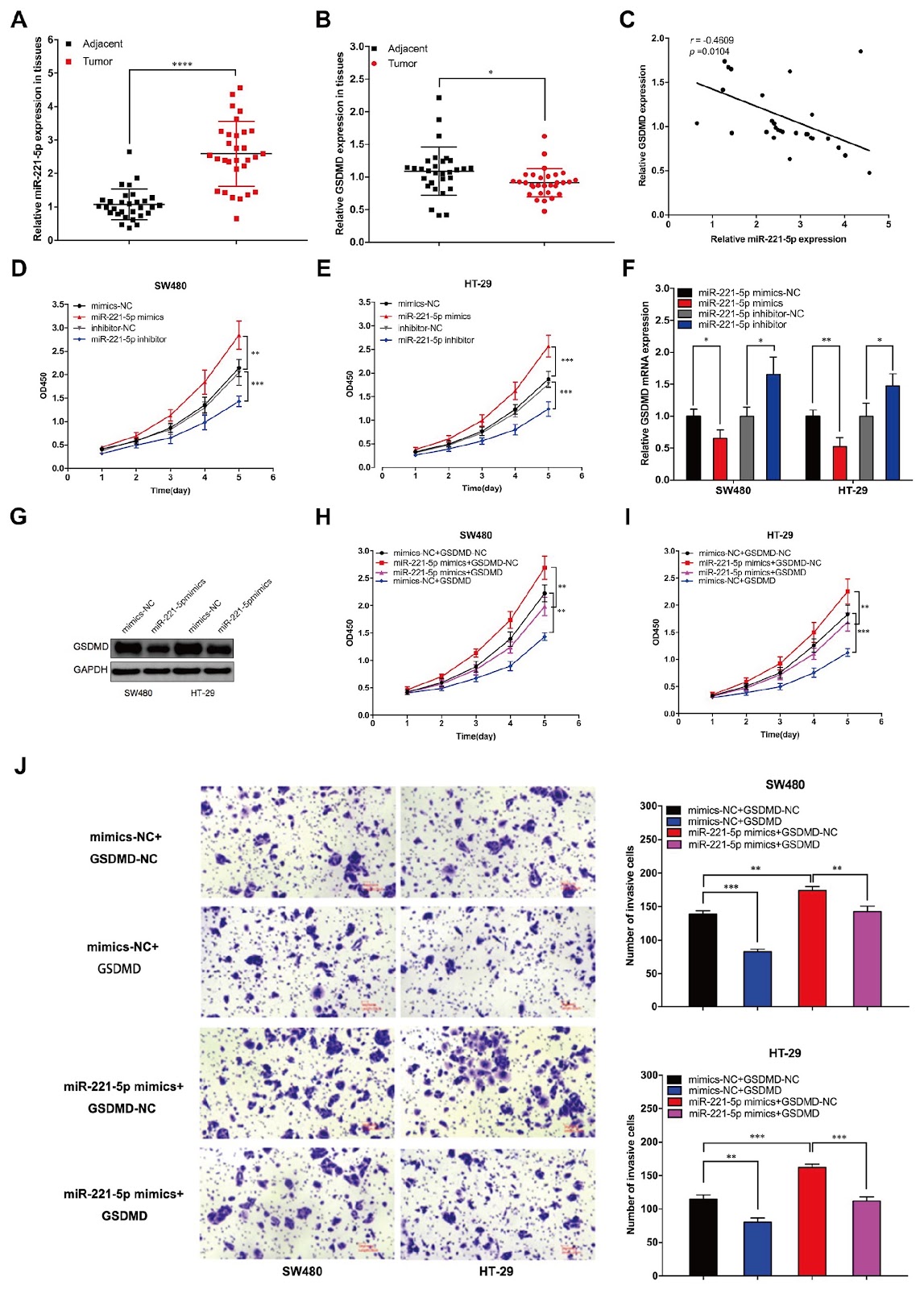 LINC00365 promotes miR-221-5p to inhibit pyroptosis via Dicer in colorectal cancer