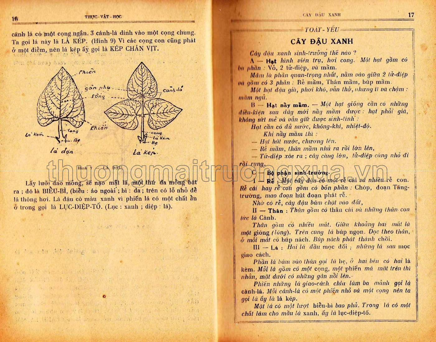 Vạn vật học lớp đệ thất (1954) - Trang 8