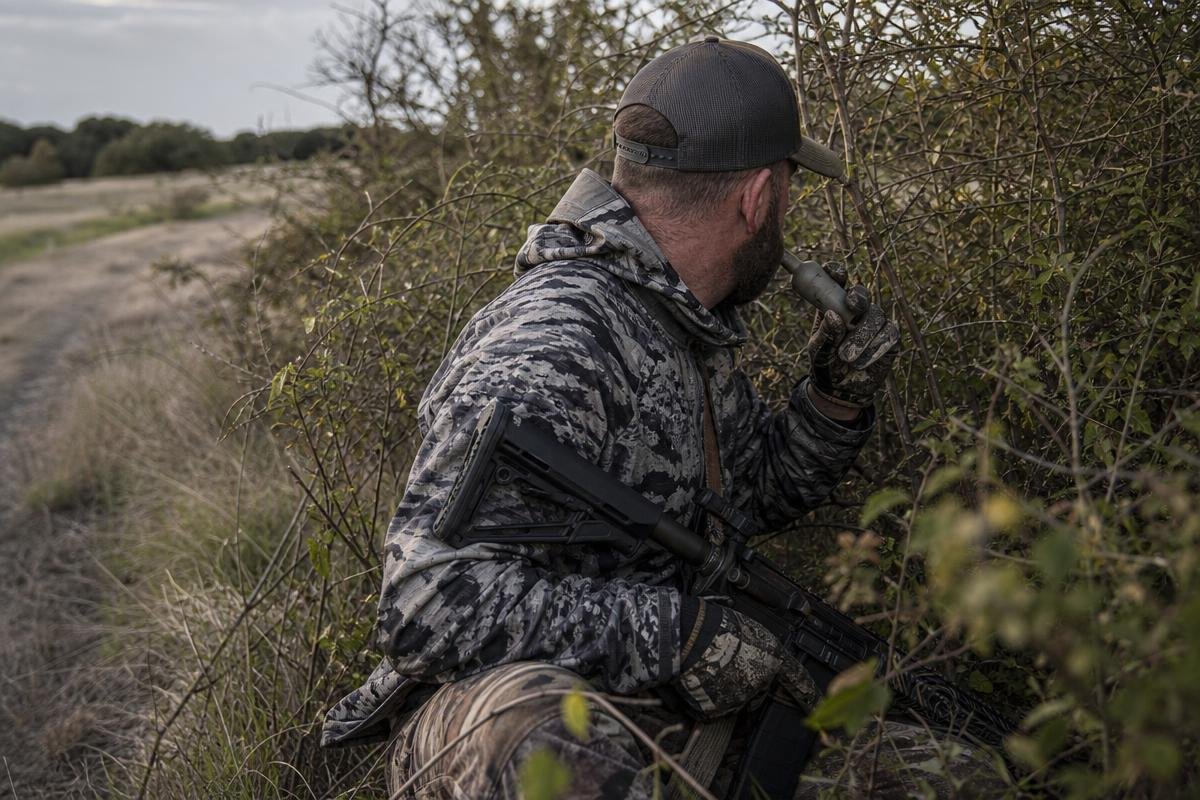 seasonal coyote calling sequences for Denison predator hunters