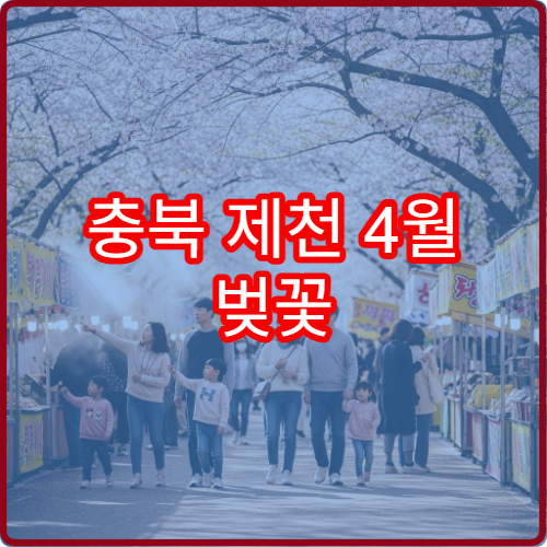 충북 제천 4월 벚꽃 커플 데이트 케이블카+호수 3시간 코스