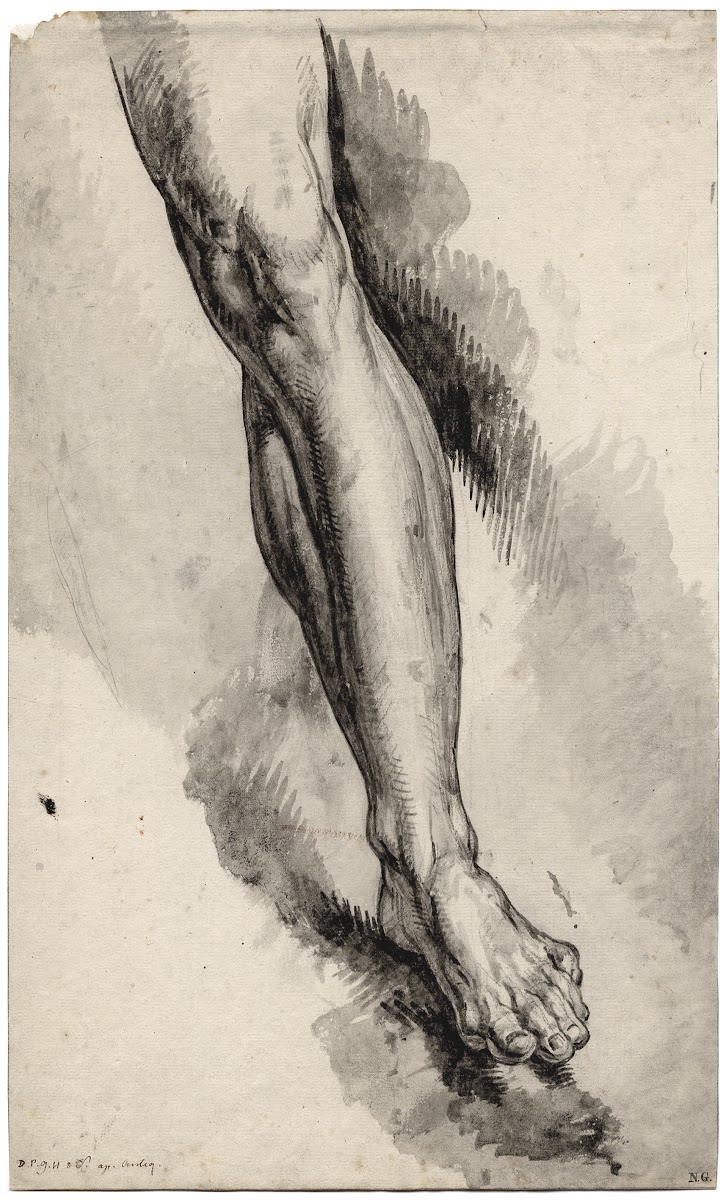 Left leg after an antique statue
