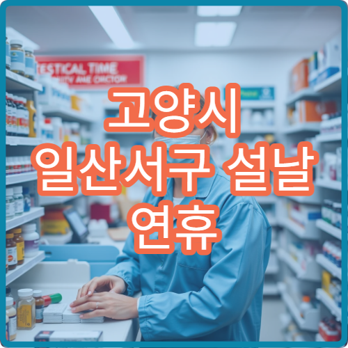 고양시 일산서구 설날 연휴 응급의학과 운영 병원 안내