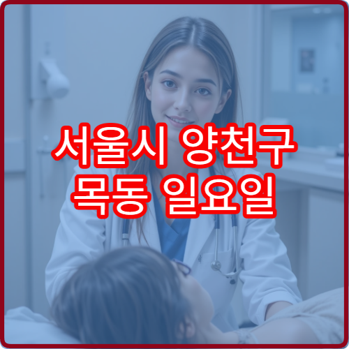 서울시 양천구 목동 일요일 진료 가능한 내과 주말 갑작스러운 증상 대응 안내