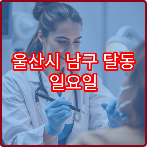 울산시 남구 달동 일요일 산부인과 진료 가능한 병원 여성 검진 정보