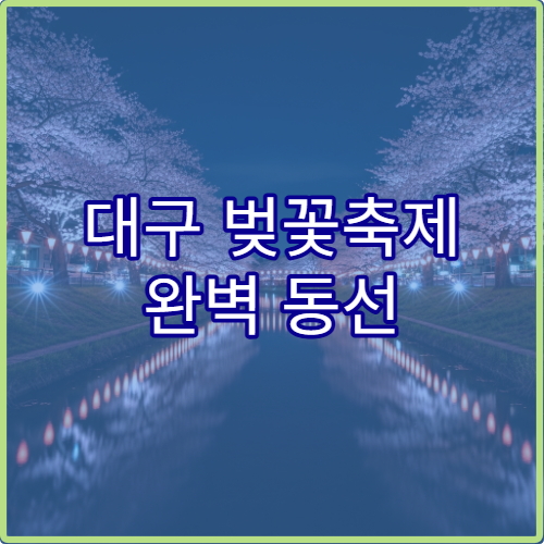 대구 벚꽃축제 완벽 동선 하루 일정표와 시간대별 추천 방문법