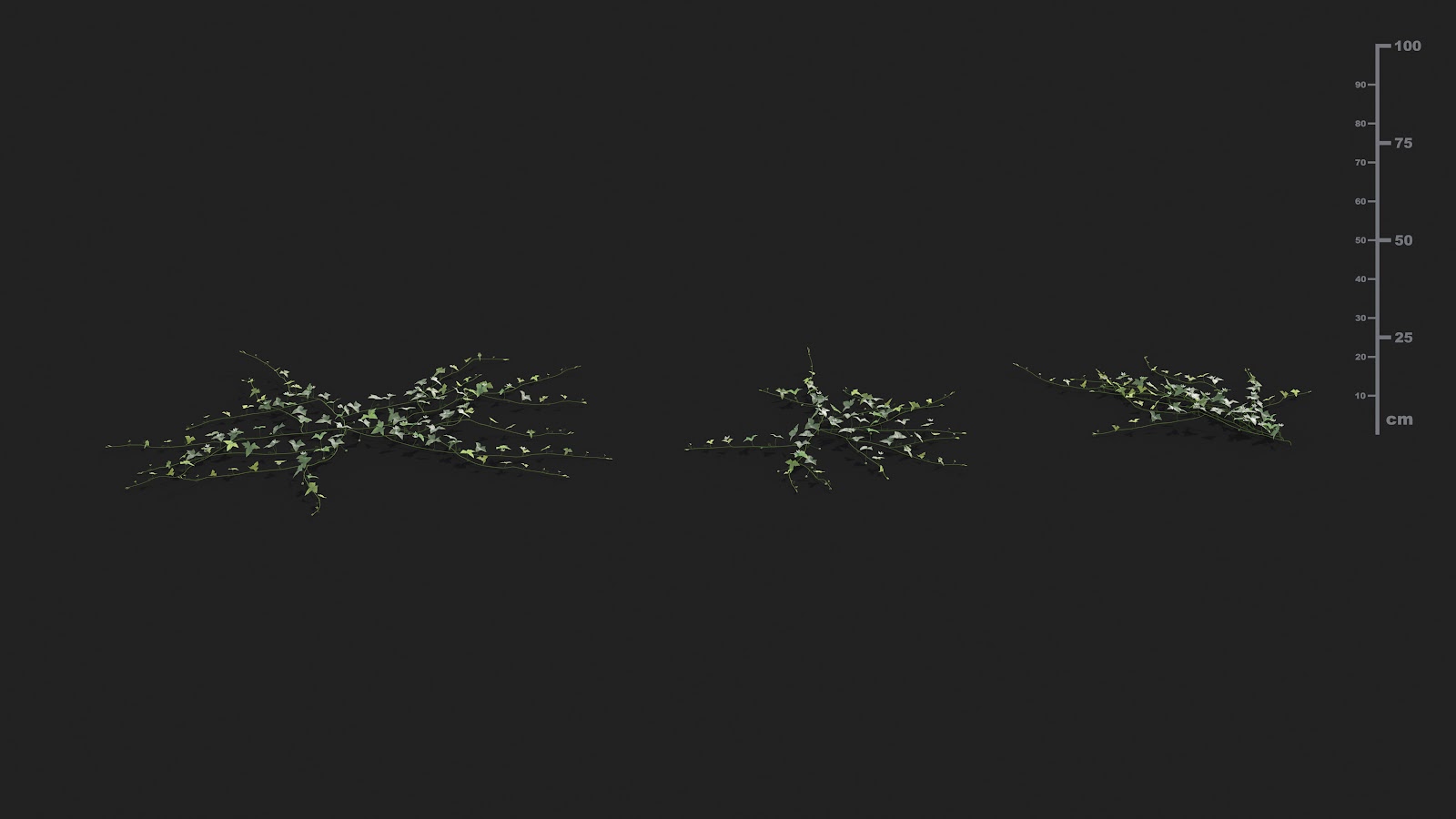 Maxtree - Plant Models Vol.21