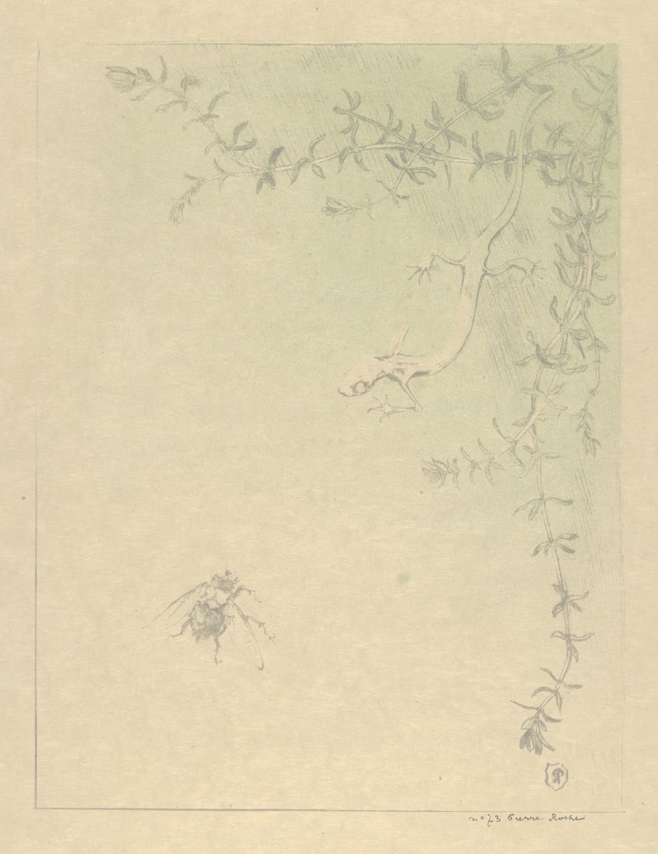 The Salamander La Salamandre 1895