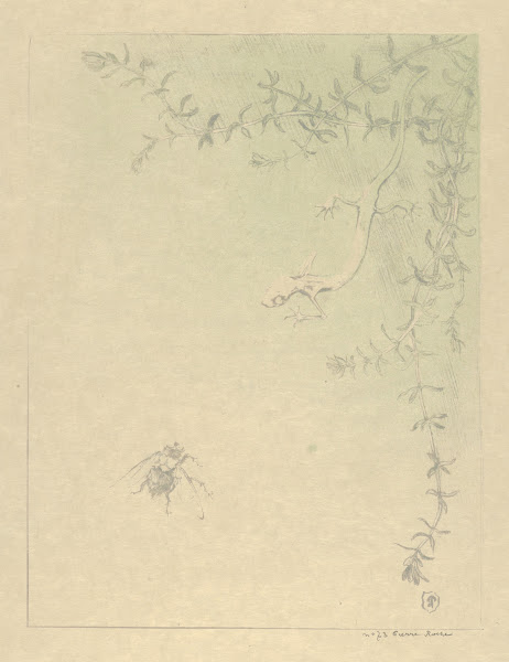 The Salamander La Salamandre 1895