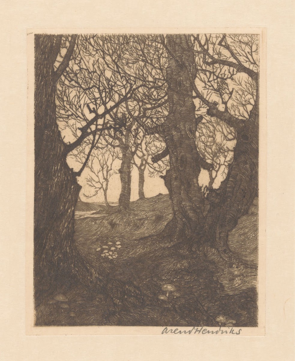 Pad door een bos met kale bomen 1911   1931