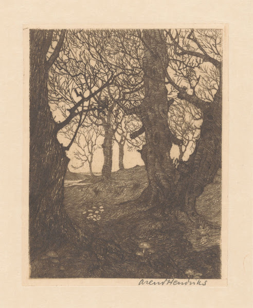 Pad door een bos met kale bomen 1911   1931