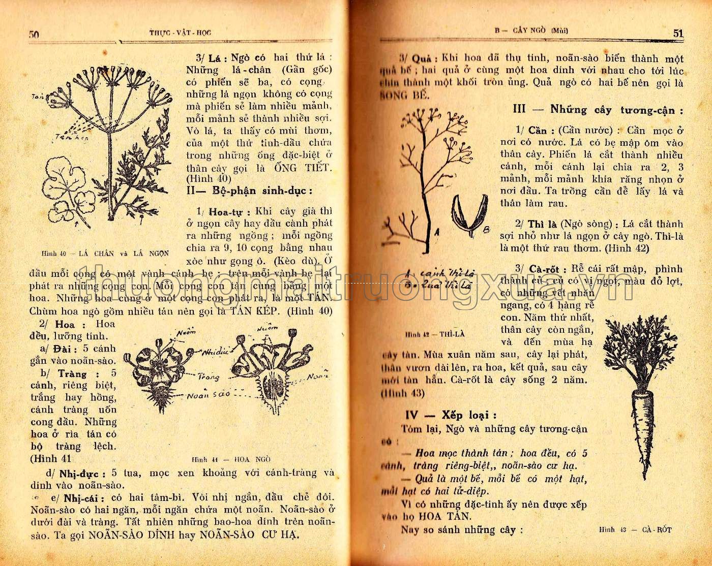 Vạn vật học lớp đệ thất (1954) - Trang 25