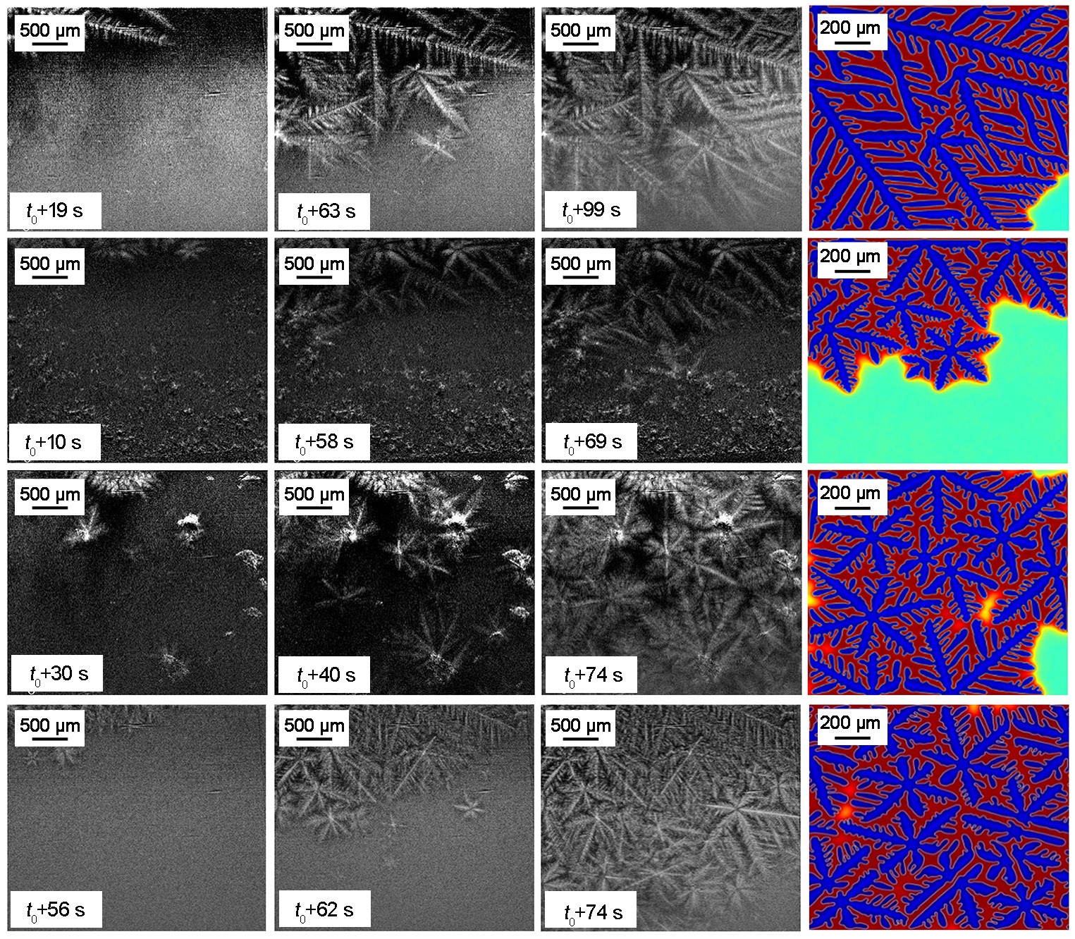 Quantitative analysis of columnar-to-equiaxed transition in Mg-Gd-Zn alloys