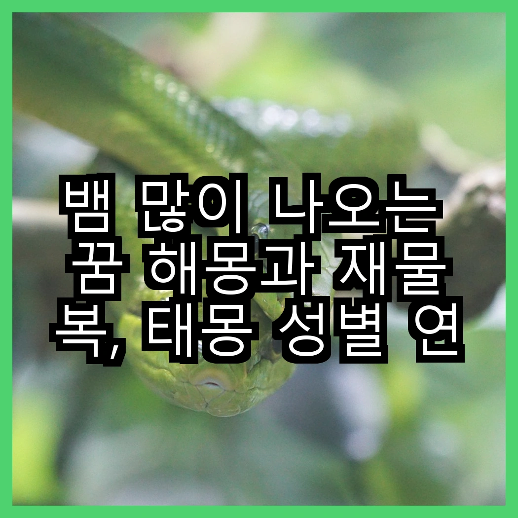 뱀 많이 나오는 꿈 해몽과 재물복, 태몽 성별 연관 썸네일