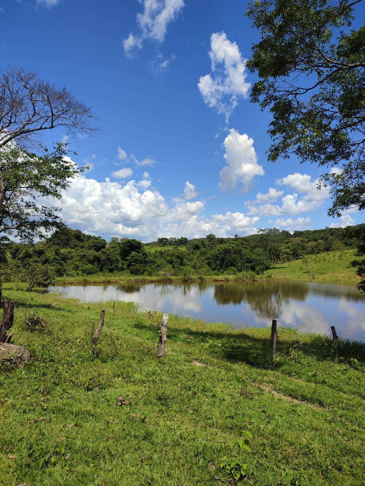 Fazenda em Uruana-GO 4