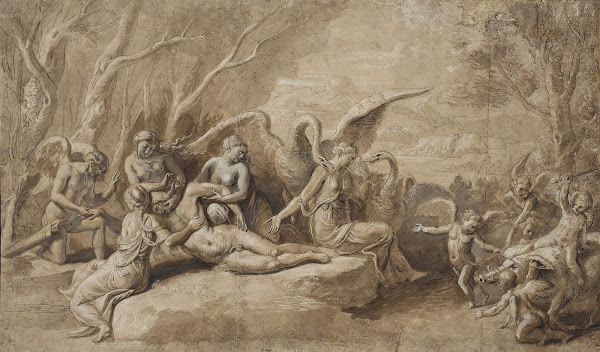 Venus mourning the death of Adonis 1529  1539
