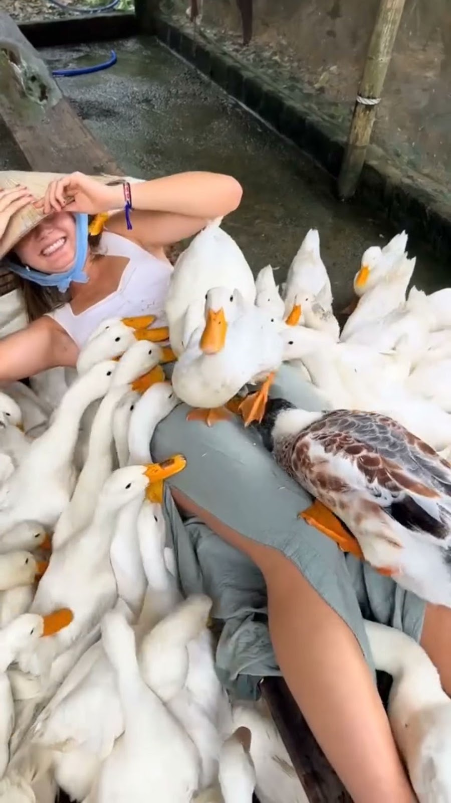 Quỷ sứ hà.. cuối tuần vui nha
