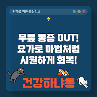 무릎 요가, 무릎 통증 완화, 빈야사 요가, 무릎 강화, 관절 건강