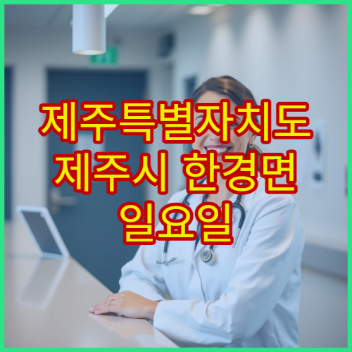 제주특별자치도 제주시 한경면 일요일 당직약국 문 여는 약국 정보