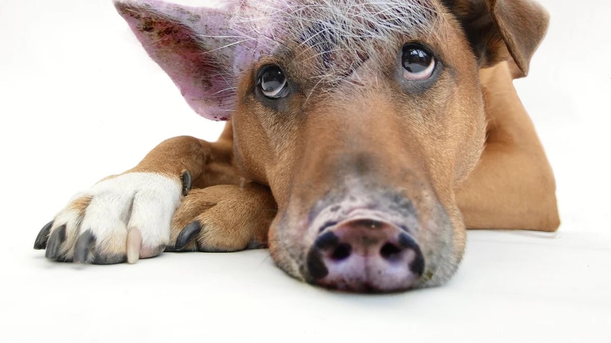 고생 끝에 낙이 온다 속담의 뜻과 유래