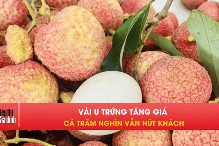 Vải u trứng đầu mùa giá cao ngất vẫn cháy hàng - Tạp chí Tiếp thị &amp; Gia đình