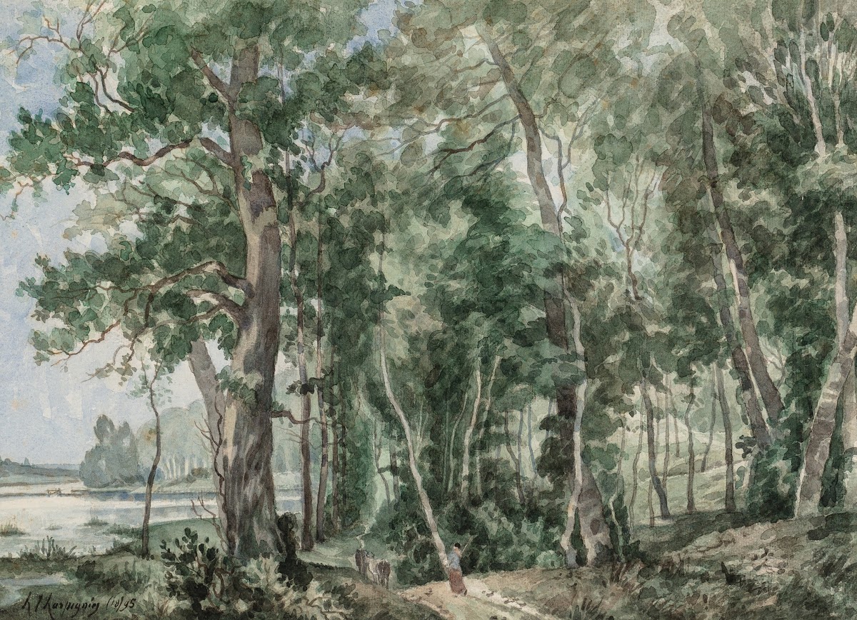 Sous bois 1895