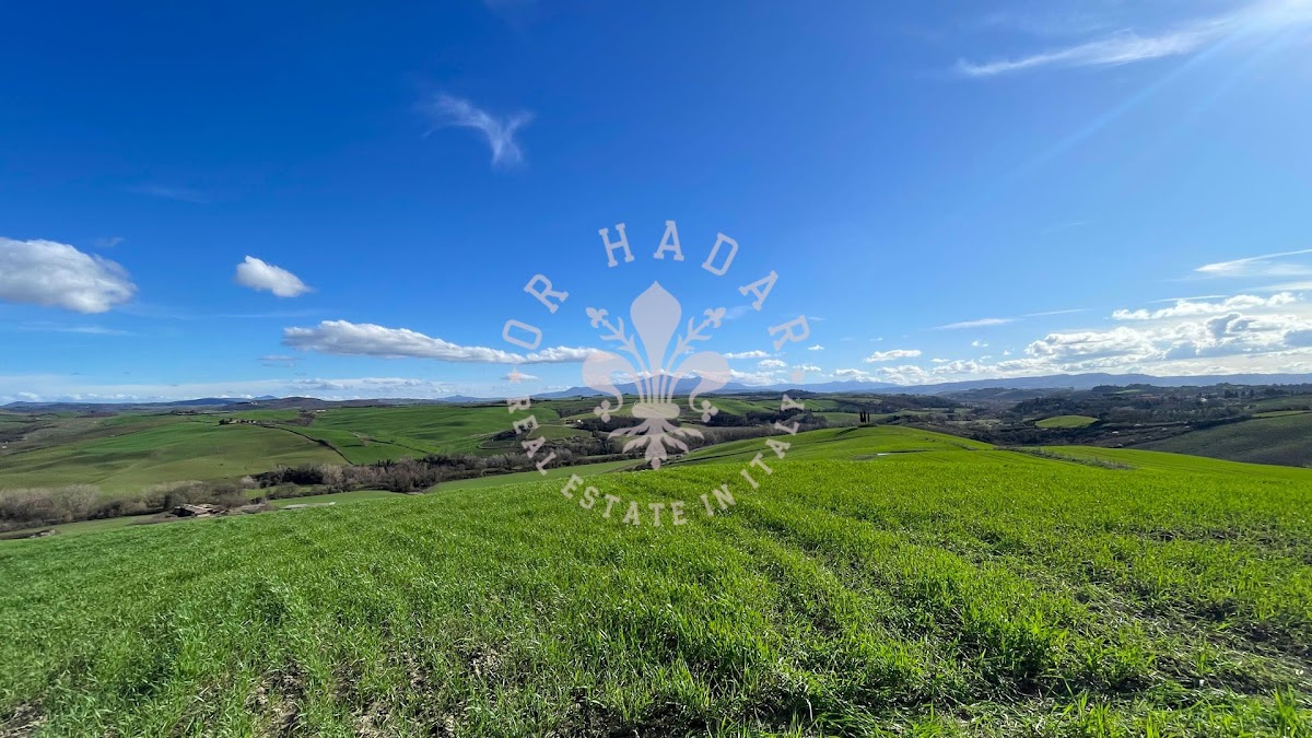 אזינדה לאסו (Azienda l'Asso) — 20