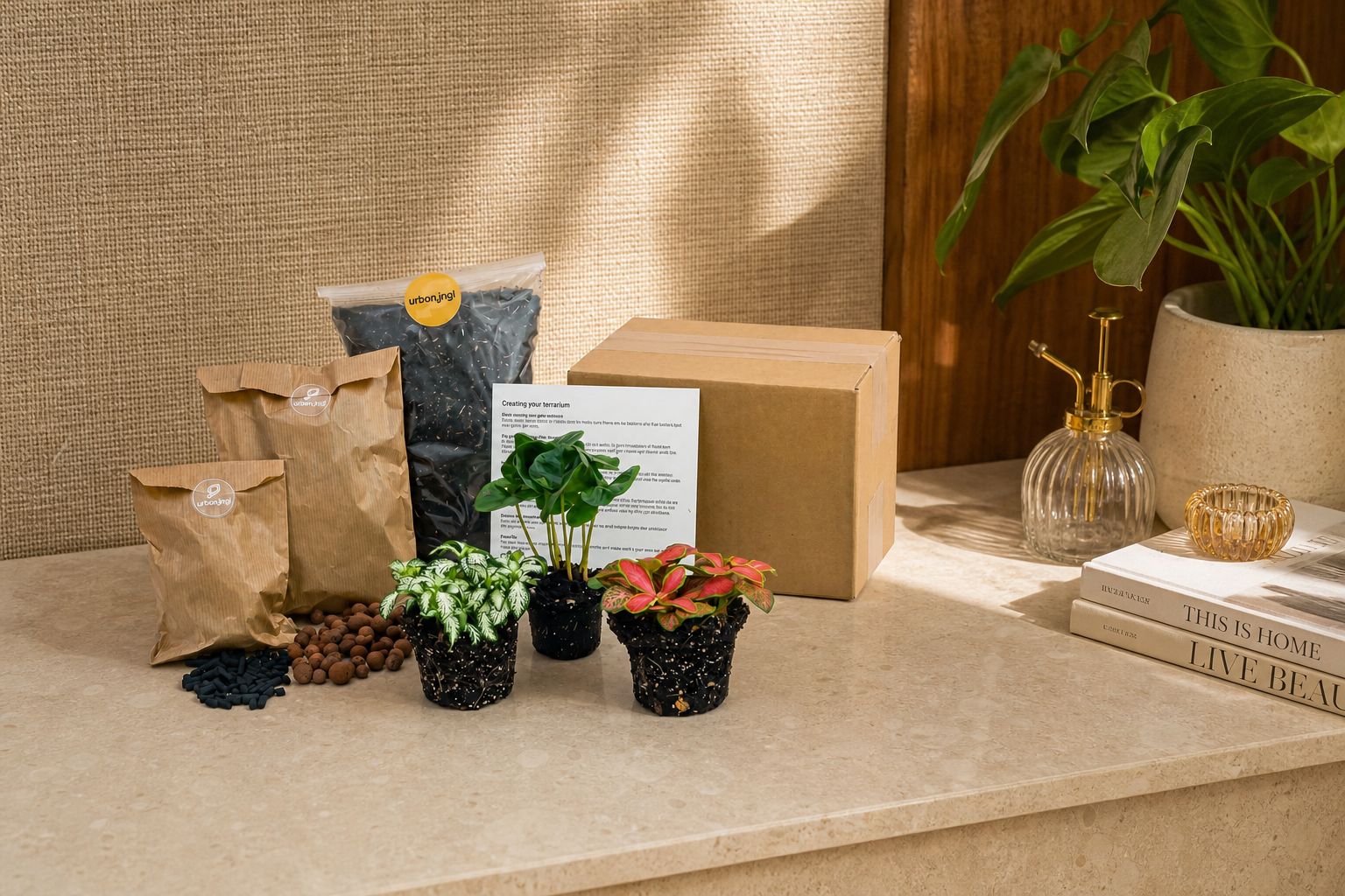 Coffea Arabica - Plant Terrarium Refill & Starter kit