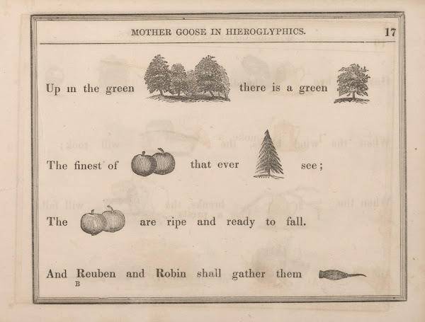 Orchard Tree Apples Yew Apples Awl 1855