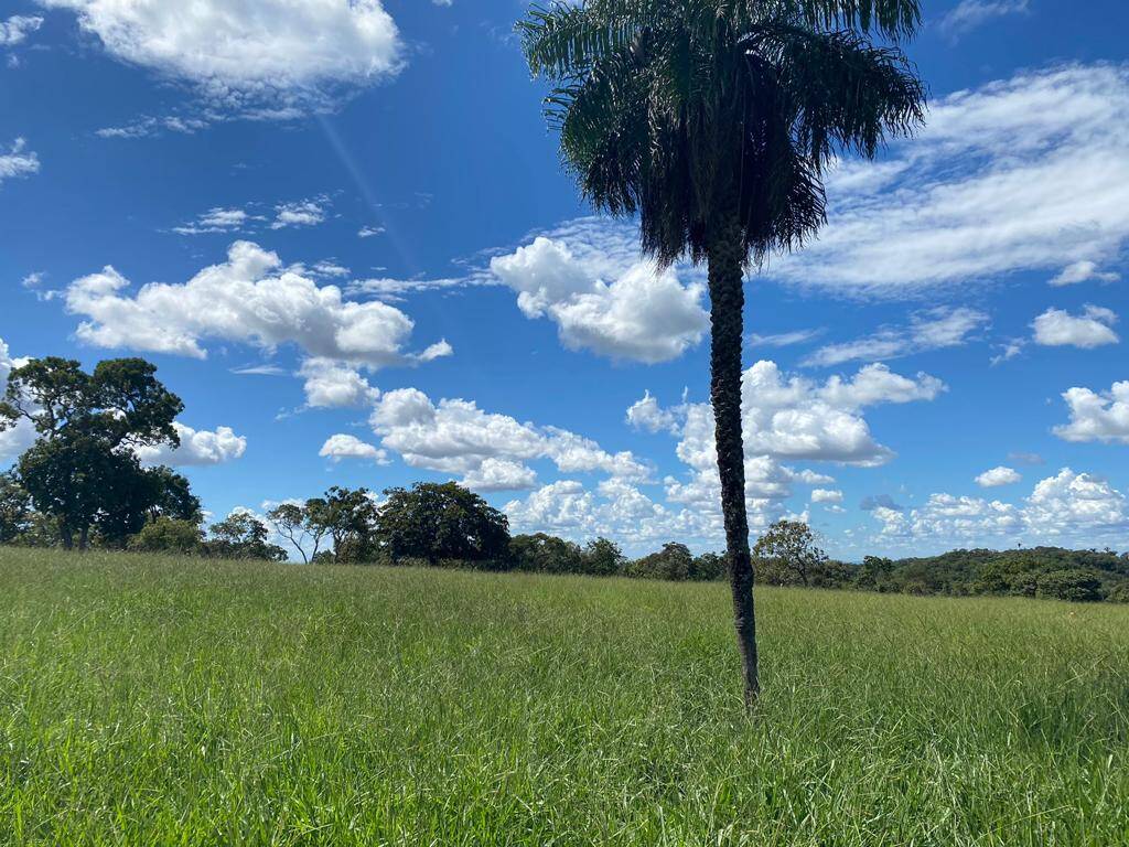 Fazenda em Piranhas-GO 2