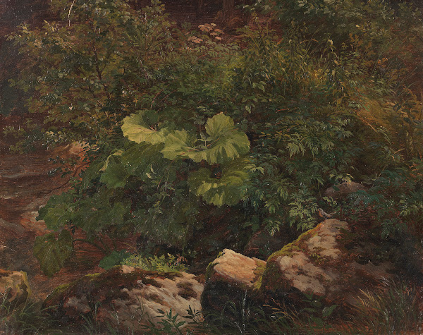 Pflanzenstudie Ca 1840 1850