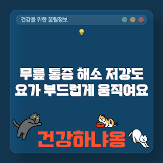 무릎 통증, 저강도 요가, 요가 루틴, 무릎 건강, 통증 완화
