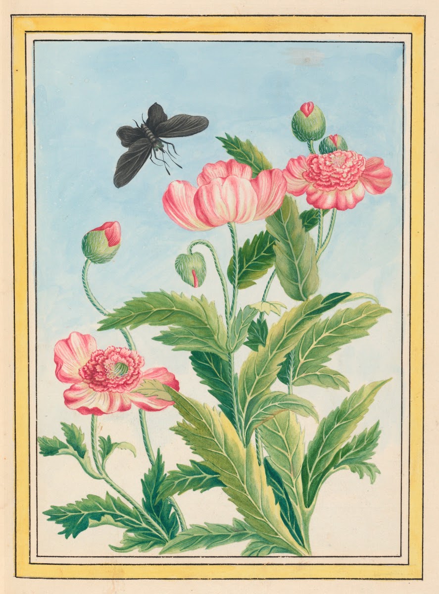 From the Atelier 1930