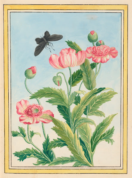 From the Atelier 1930