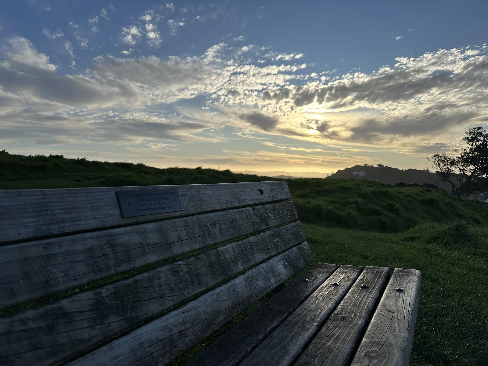 Wooden Bench On Grassy Hill - Nature Photography 4K Wallpaper (4032x3024)