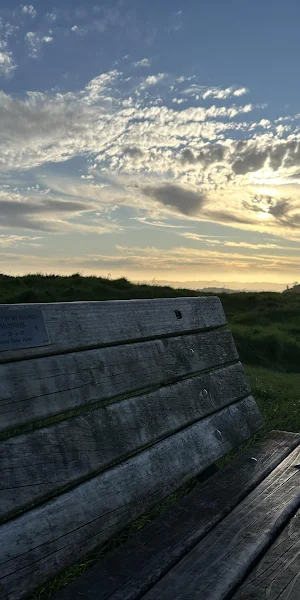 Wooden Bench On Grassy Hill 4K Wallpaper Background