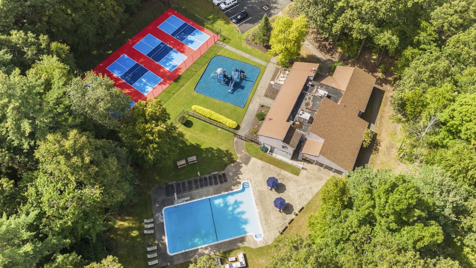 Pool, pickleball courts and playground from above