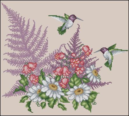 CMP 360300 Pattern
