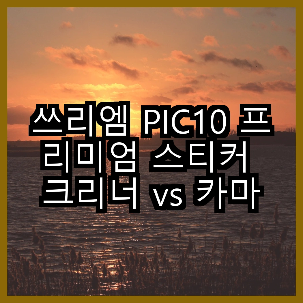 쓰리엠 PIC10 프리미엄 스티커 크리너 vs 카마존 초보운전 반사 자석 스티커, 어떤 선택이 더 실용적일까요? 썸네일