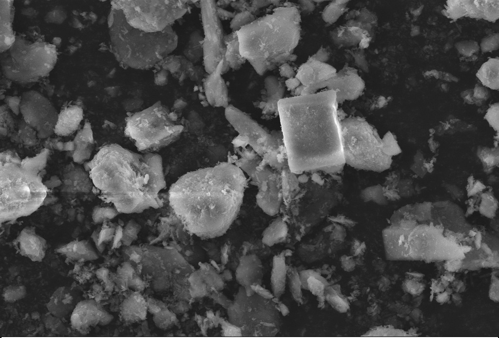 Extraction of rare earths from ion-adsorption type rare earth ore by indigenous microbial community