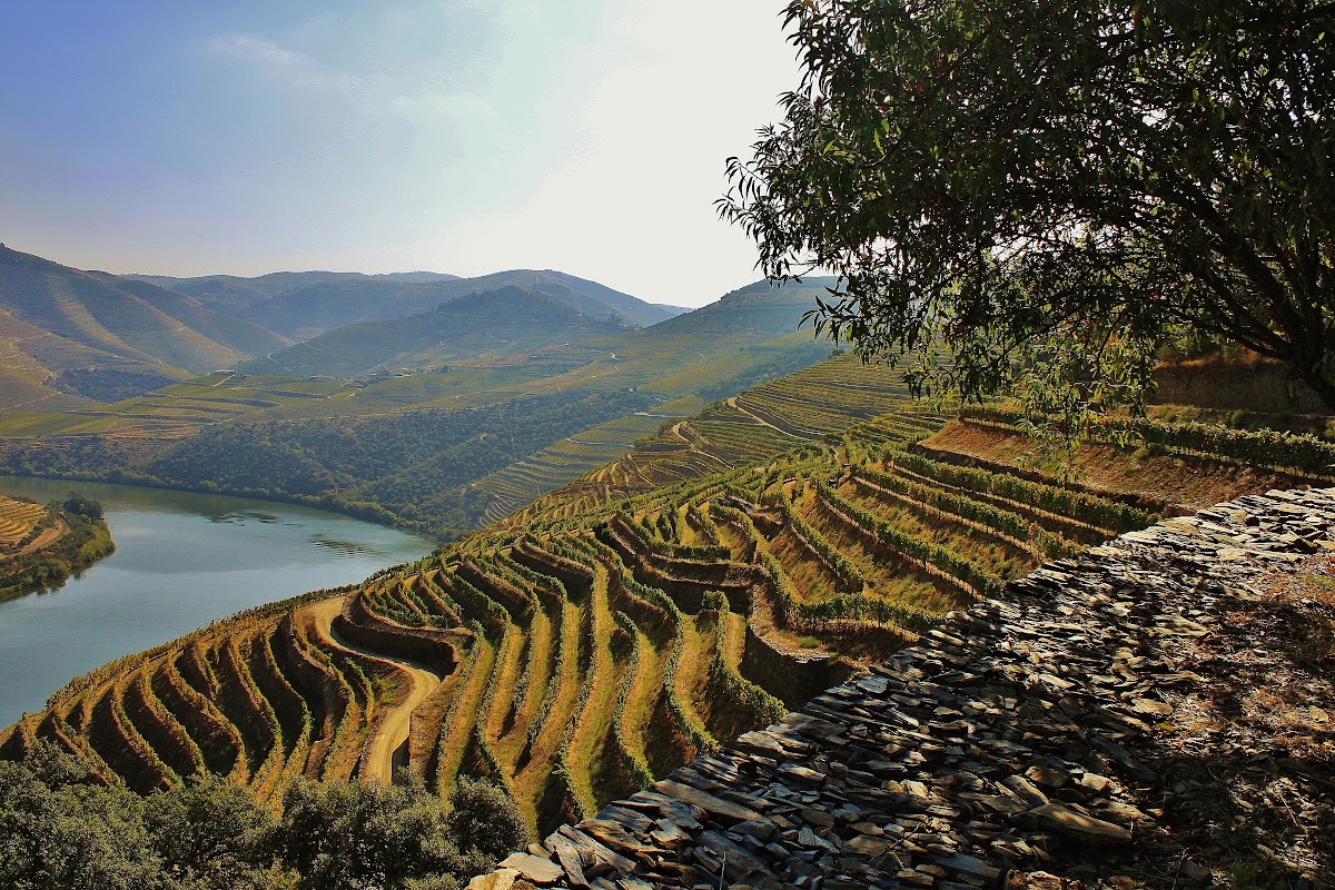 8-Day Portugal Journey, Douro Valley to Lisbon